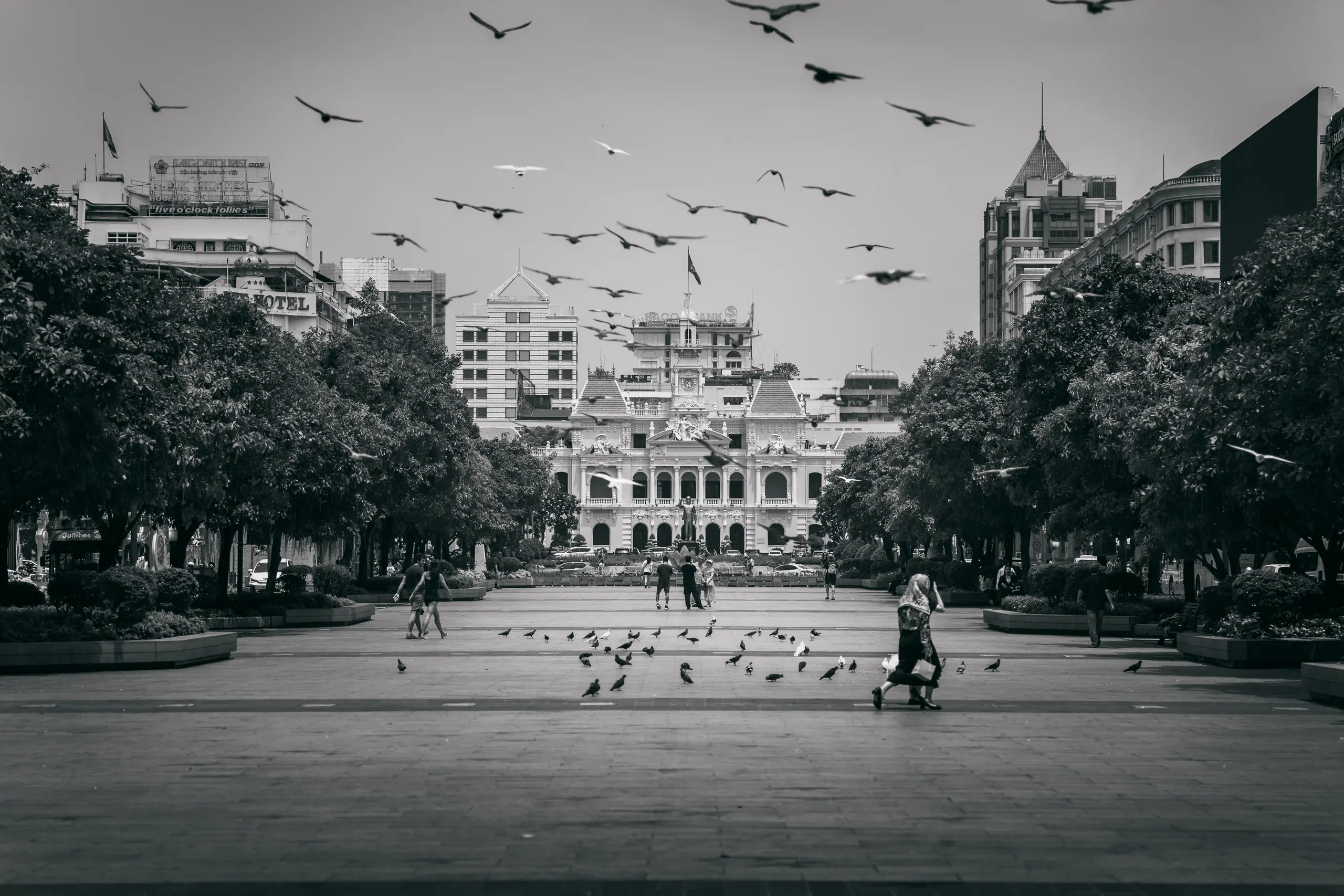 album image